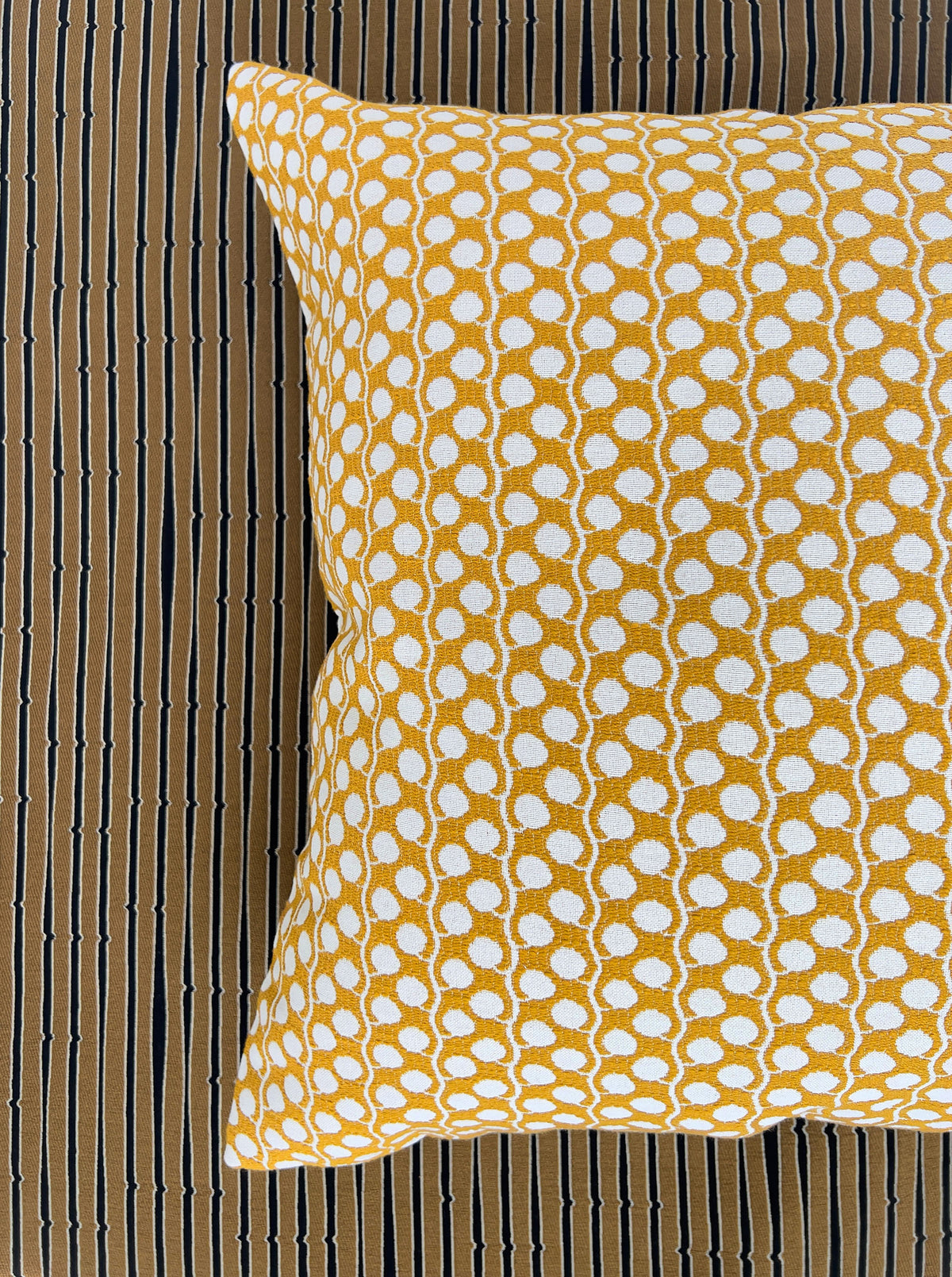 Ollie Pillow Biscotti The Lawns